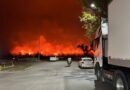Más de 40 mil hectáreas incendiadas en Salta por negligencia