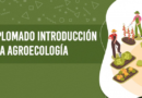 Ahora en Cuyo: nuevo diplomado de “Introducción a la agroecología”