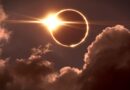 Como afecta un eclipse a los seres vivos