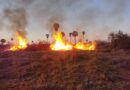 Tremendo: quemaron y desmontaron reservorio de aves en el Espinal entrerriano