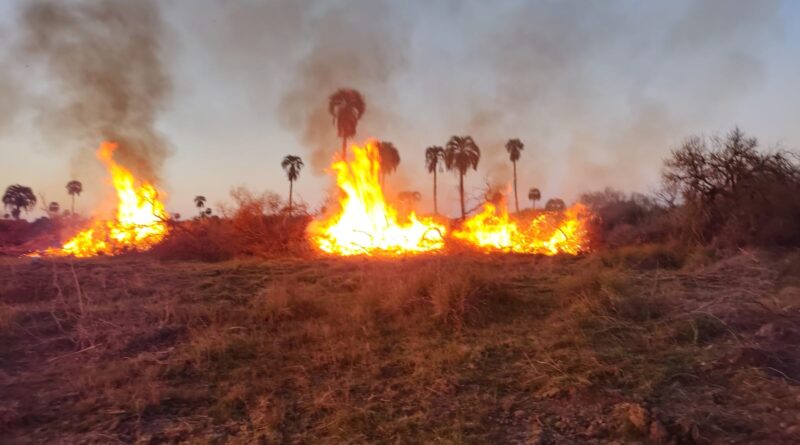 Tremendo: quemaron y desmontaron reservorio de aves en el Espinal entrerriano